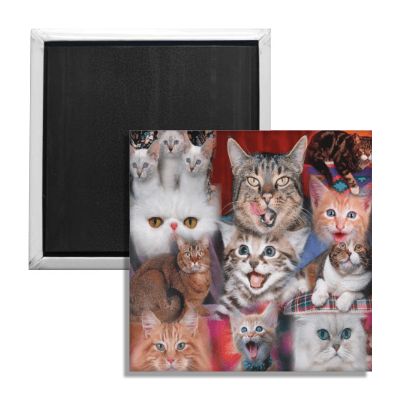 Wholesale ​Happy Cats Fridge Magnet - Shady Front