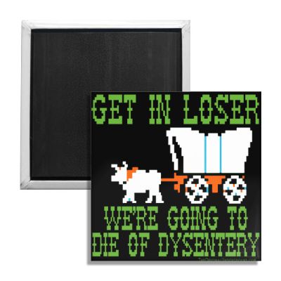 Wholesale ​We're Going to Die of Dysentery "Oregon Trail" Fridge Magnet - Shady Front