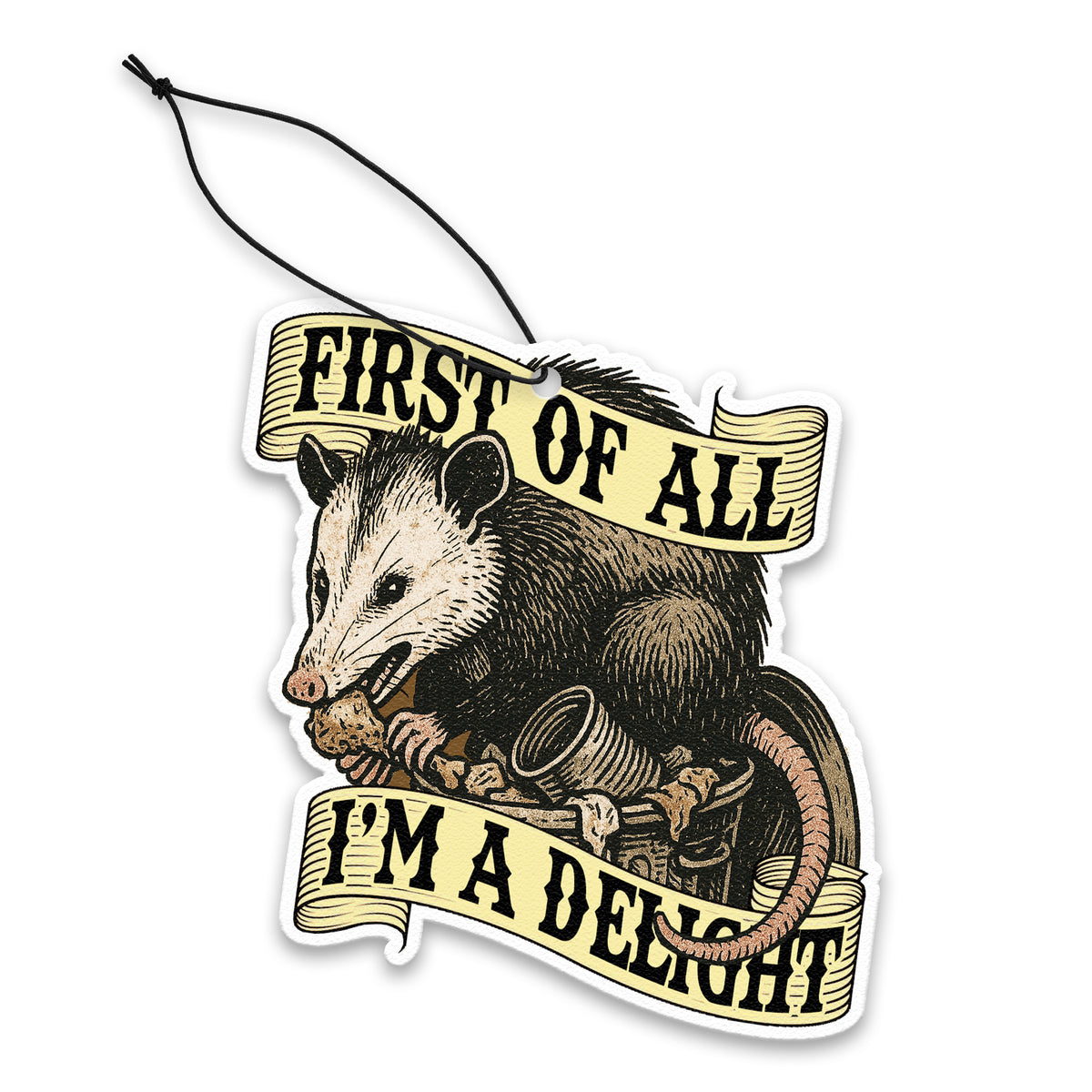 Wholesale ​First of All I'm a Delight Air Freshener - Shady Front