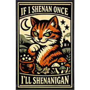 Wholesale ​If I Shenan Once I'll Shenanigan Print - Shady Front