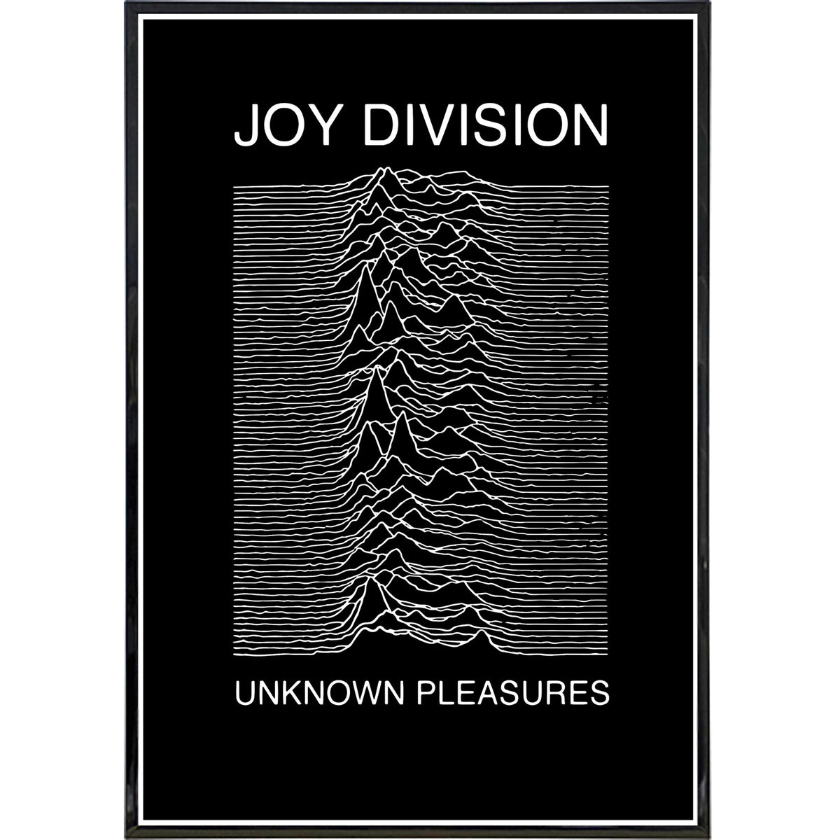 Wholesale ​Joy Division Show Poster Print - Shady Front