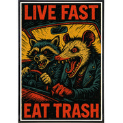 Wholesale ​Live Fast Eat Trash Poster Print - Shady Front
