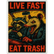 Wholesale ​Live Fast Eat Trash Sticker - Shady Front