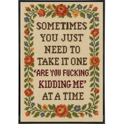 Wholesale ​One "Are You F - king Kidding Me" at a Time Poster Print - Shady Front