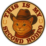 Wholesale ​This is My Second Rodeo Flexible Magnet - Shady Front