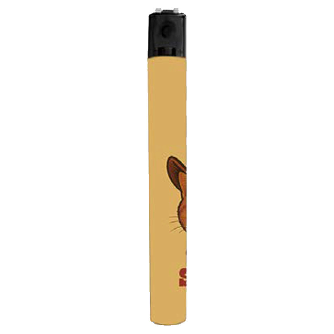 Wholesale ​This is My Second Rodeo Lighter - Shady Front