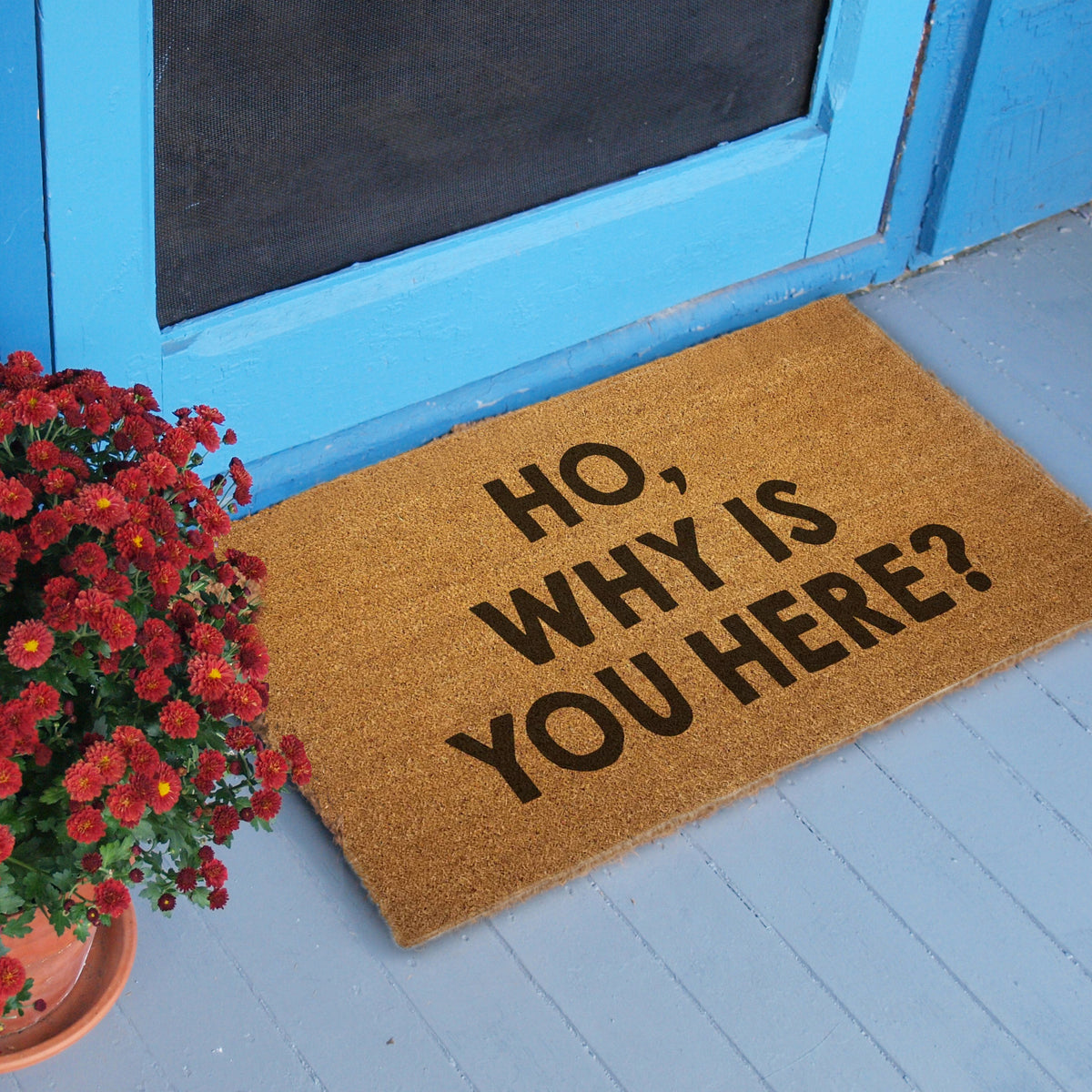 Wholesale ​Ho, Why is You Here? Door Mat - Shady Front