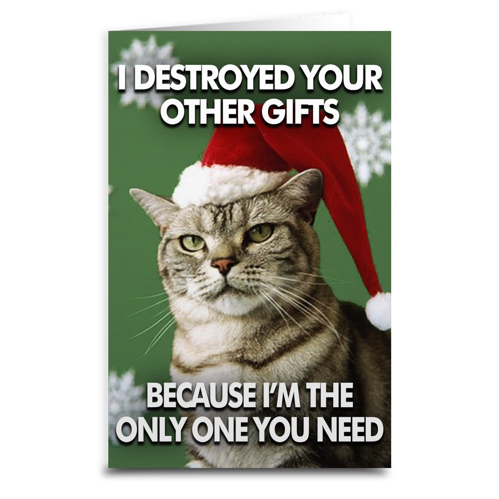 Wholesale ​Cat Destroyed the Gifts Christmas Card - Shady Front