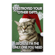 Wholesale ​Cat Destroyed the Gifts Christmas Card - Shady Front