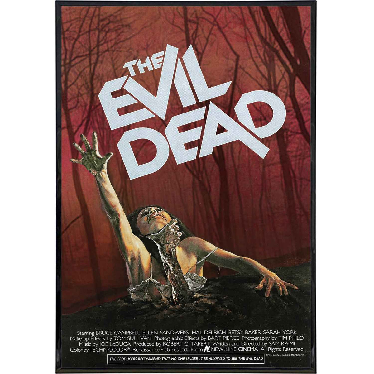 Wholesale ​Evil Dead Film Poster Print - Shady Front